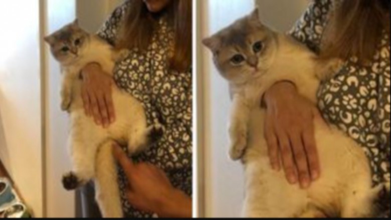 15 photos that will make you wipe your eyes in amazement